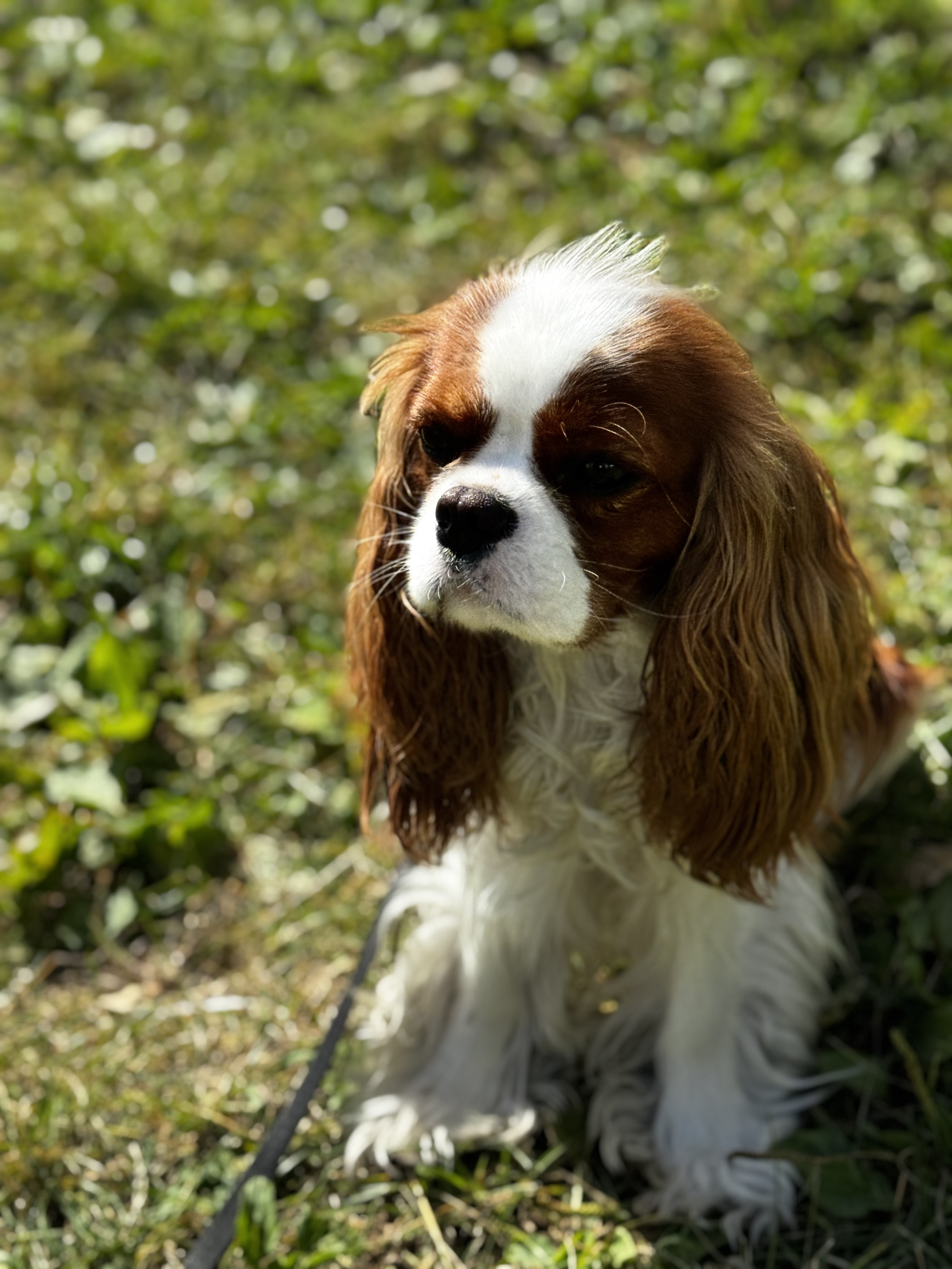 Наши клиенты