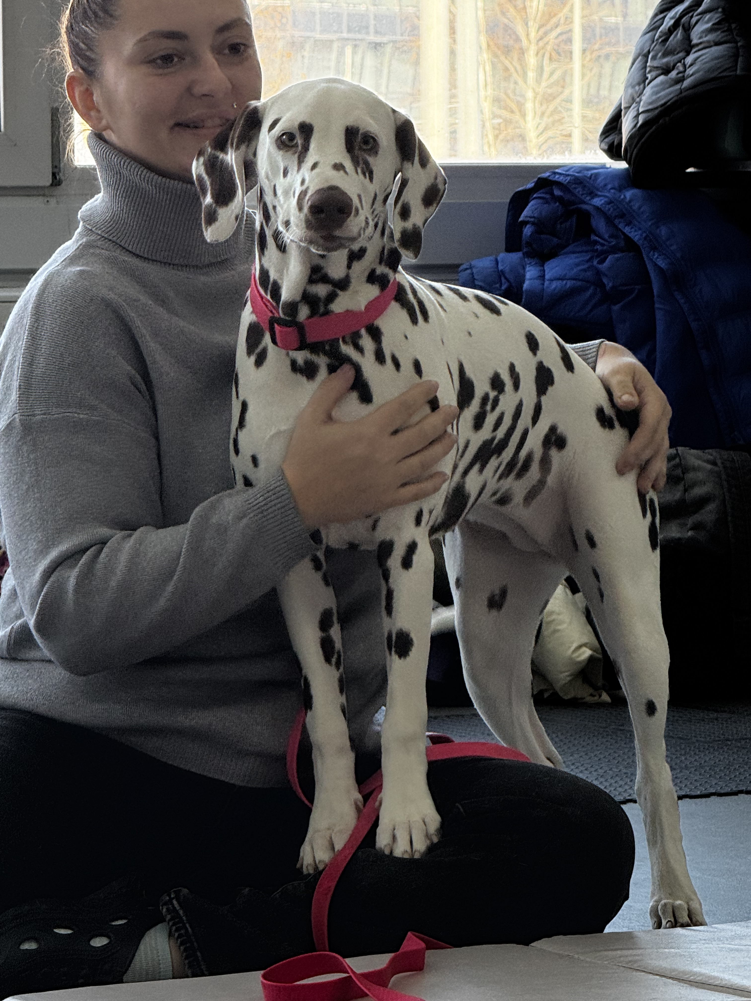 Наши клиенты